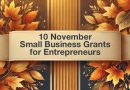 10 November Small Business Grants for Entrepreneurs