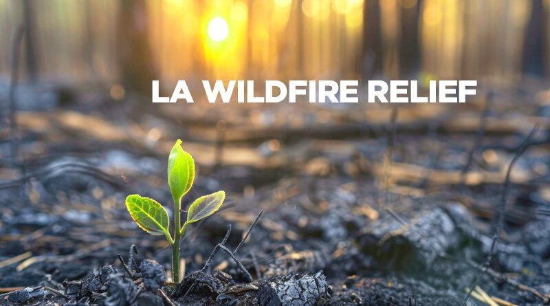 Devastation in LA: Coming Together to Support Wildfire Survivors